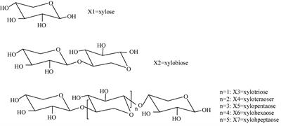 The preparation technology and application of xylo-oligosaccharide as prebiotics in different fields: A review